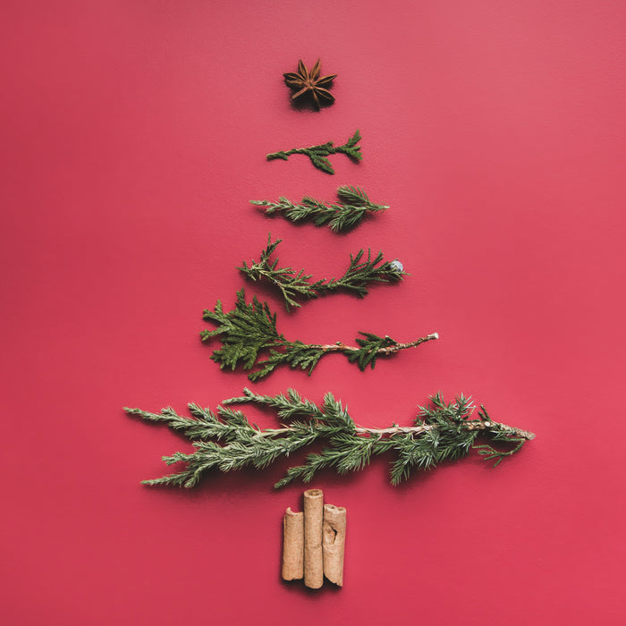 Charlie Brown Christmas Tree
