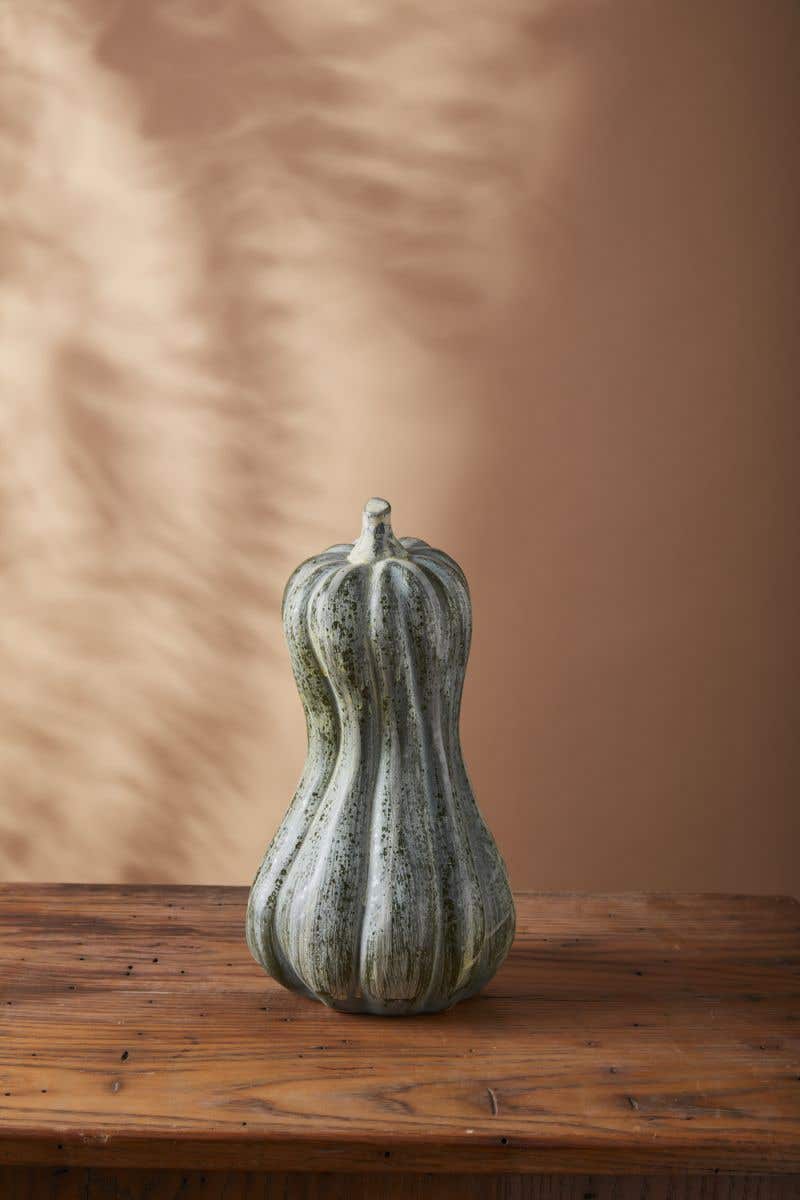 Bounty Squash
