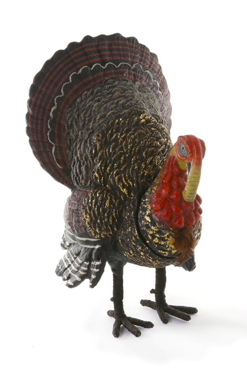 Tom the Turkey