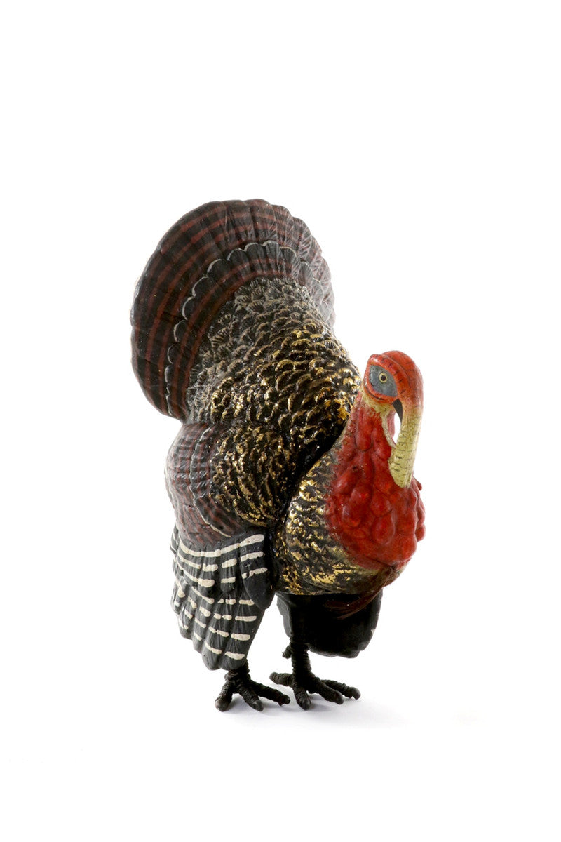Tom the Turkey