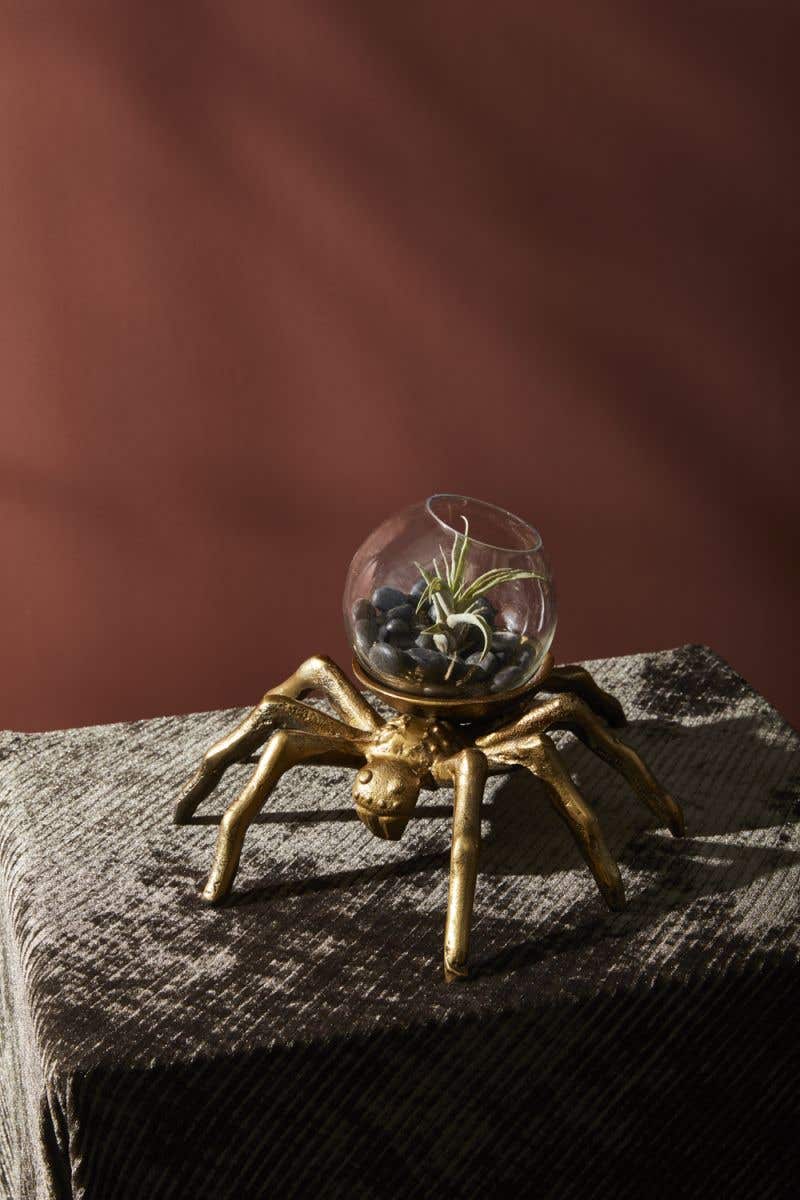 Arachnid Terrarium