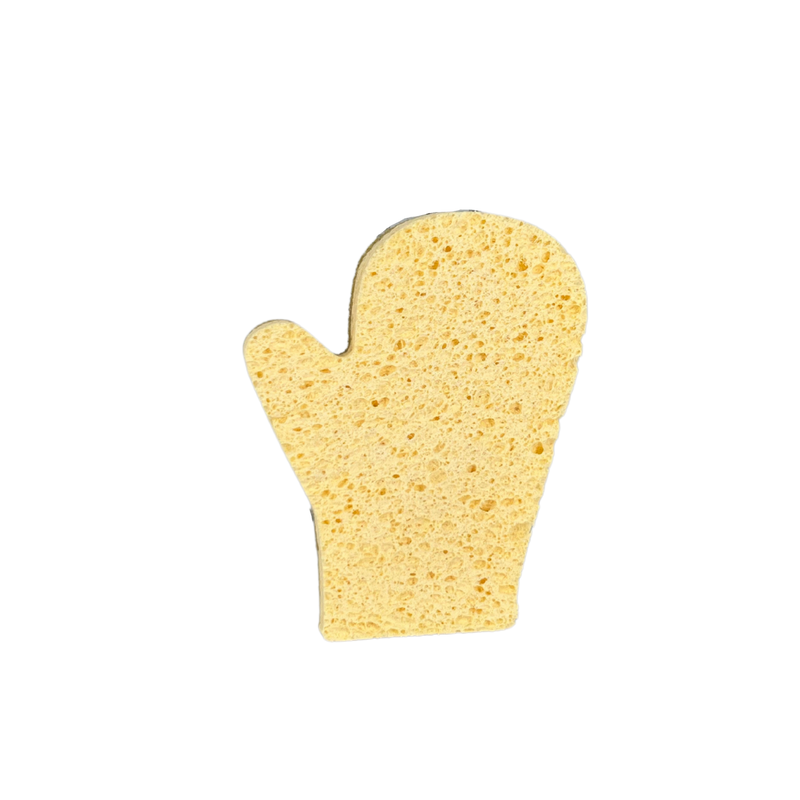 Two-Sided Holiday Sponges