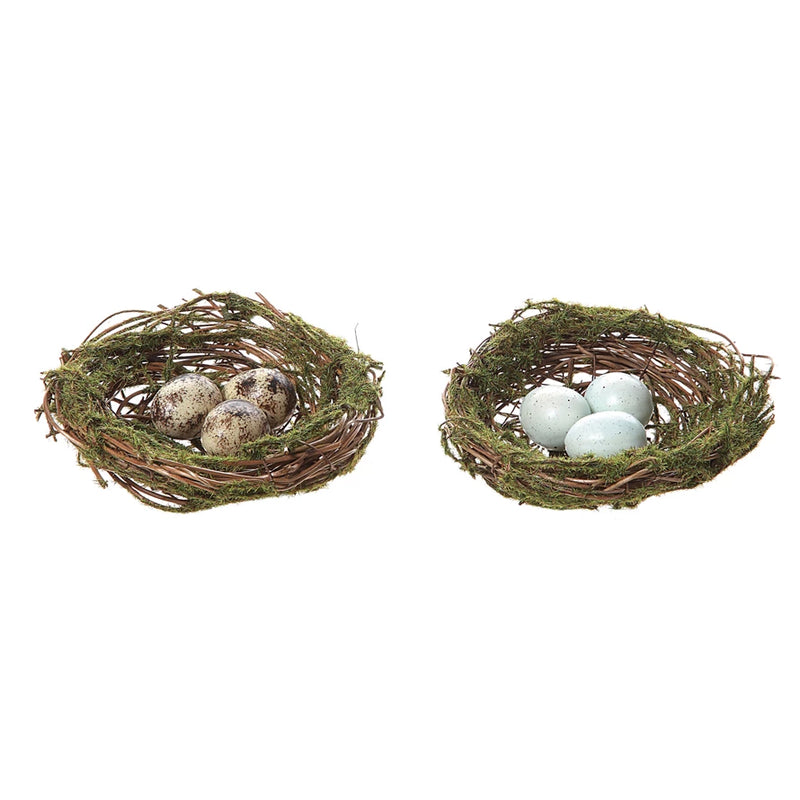 Moss Bird Nests