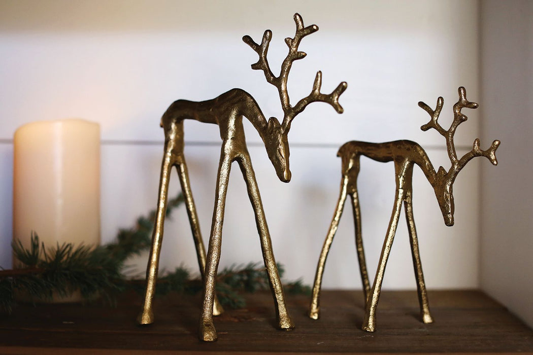 Rex Reindeers