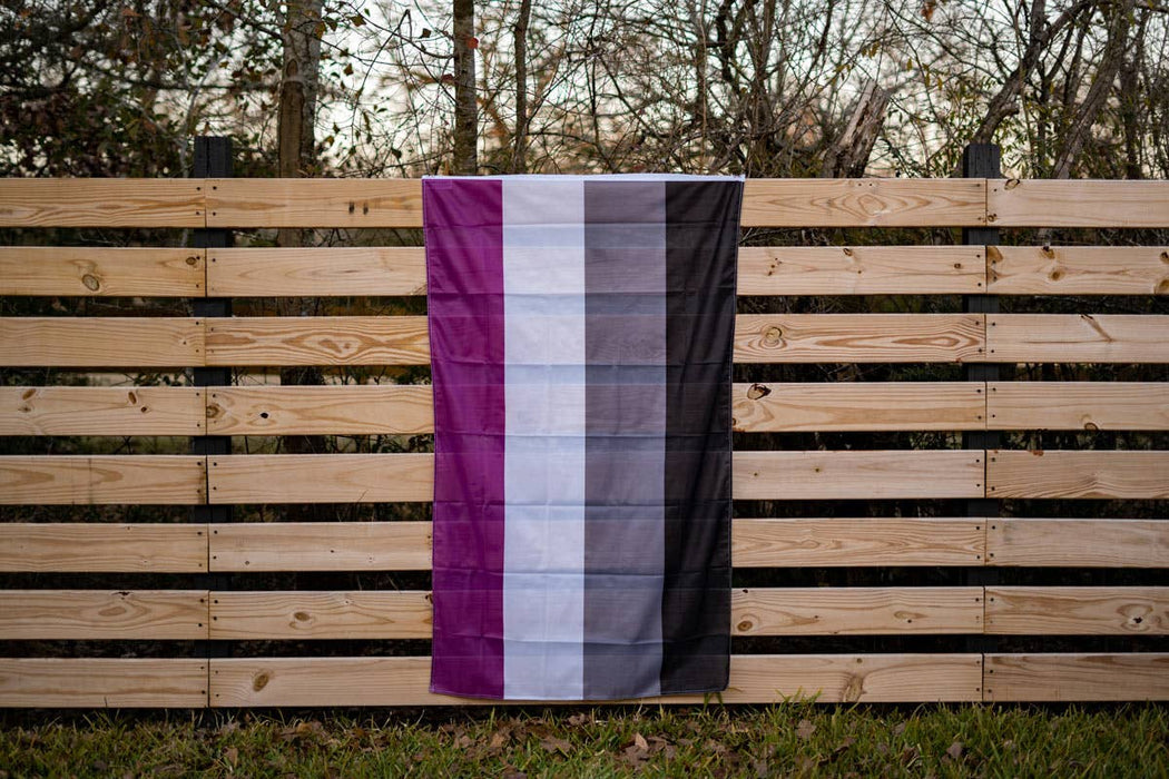 Asexual (Ace) Pride Flag