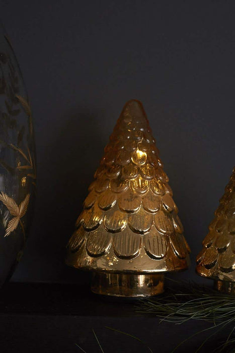 Golden Glow Tree