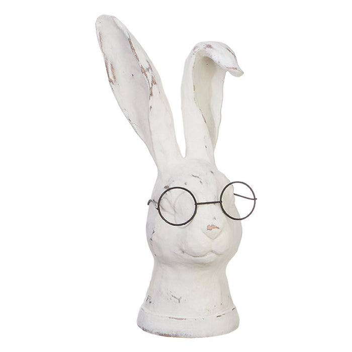 Rabbit with Glasses