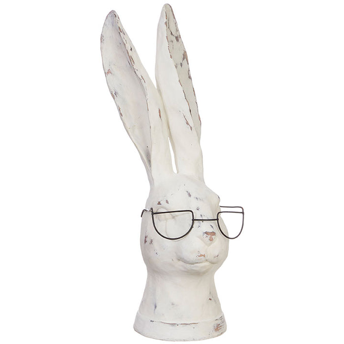 Rabbit with Glasses