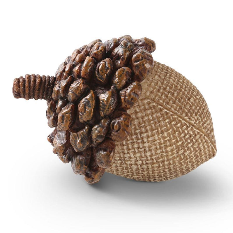 Small Acorn