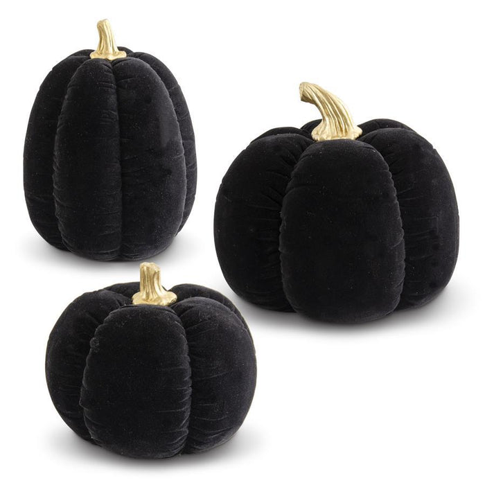 Black Velvet Pumpkins