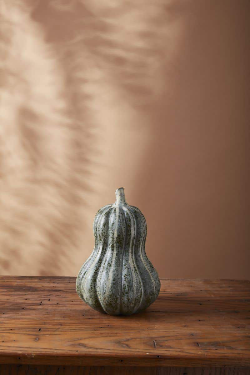 Bounty Squash