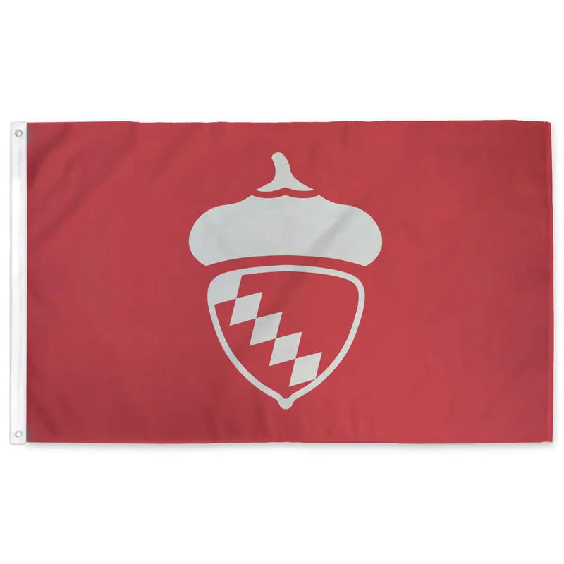 Raleigh Flag