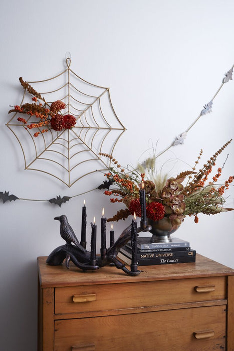 Cobweb Hanger