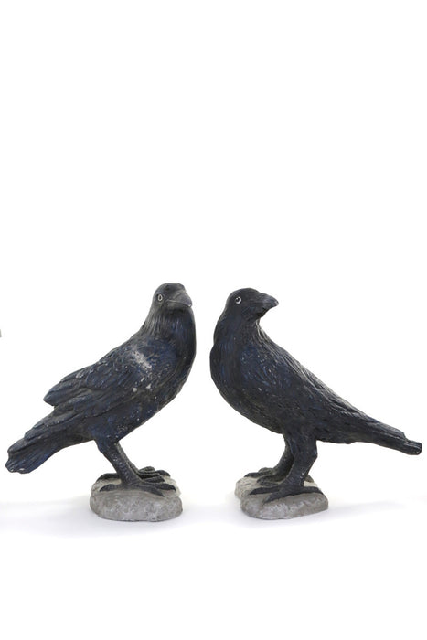 Edgar's Ravens
