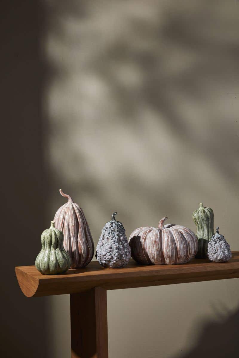 Bounty Squash