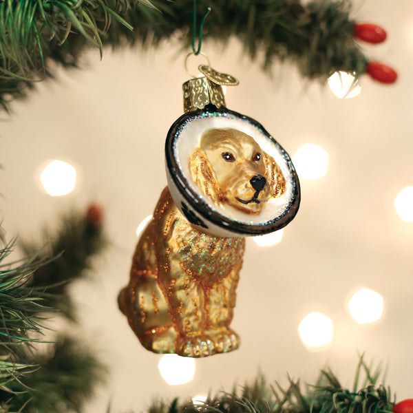 Cone Of Shame Dog Ornament