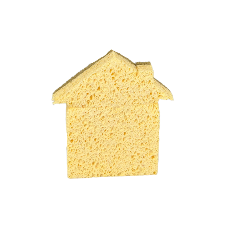 Two-Sided Holiday Sponges