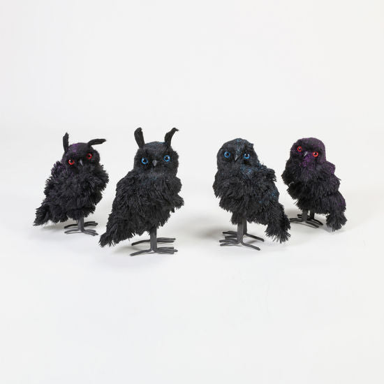 Black Owls
