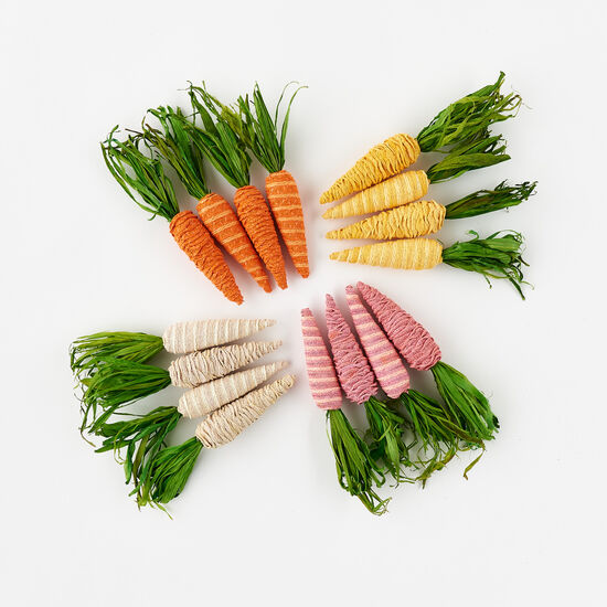 Colorful Carrots Sets