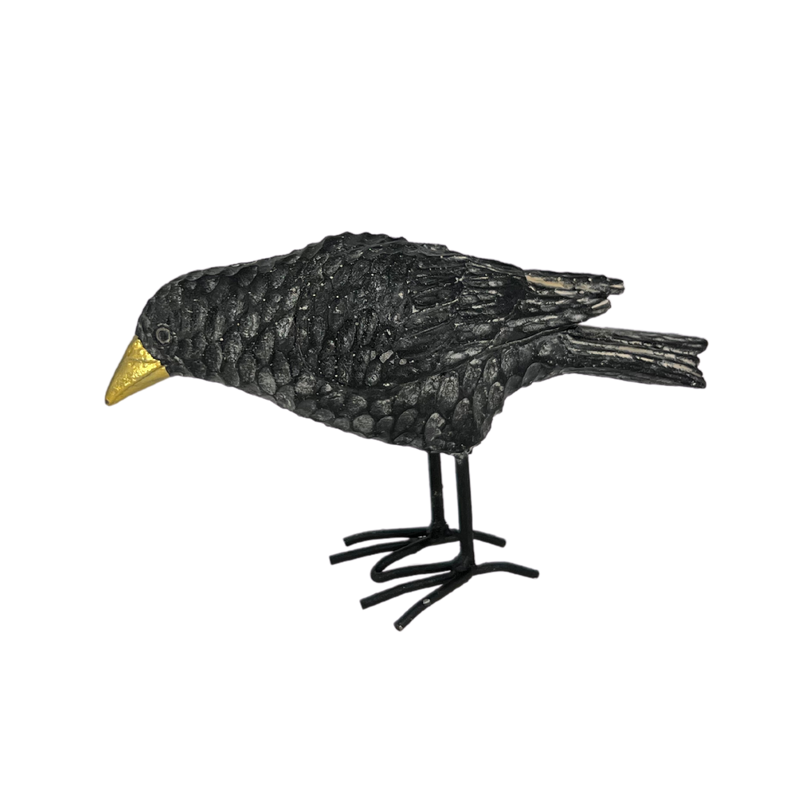 Murder of Ravens