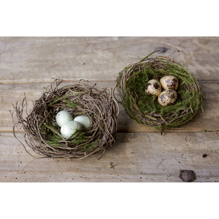 Moss Bird Nests